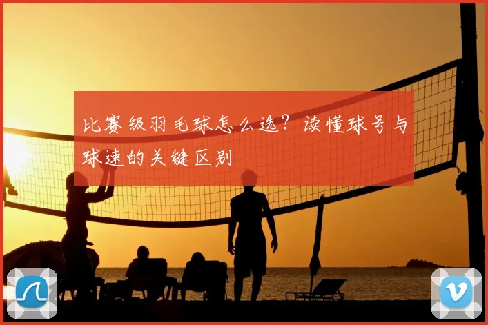 比赛级羽毛球怎么选？读懂球号与球速的关键区别