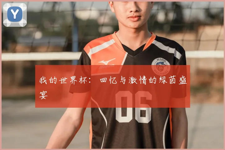 我的世界杯：回忆与激情的绿茵盛宴