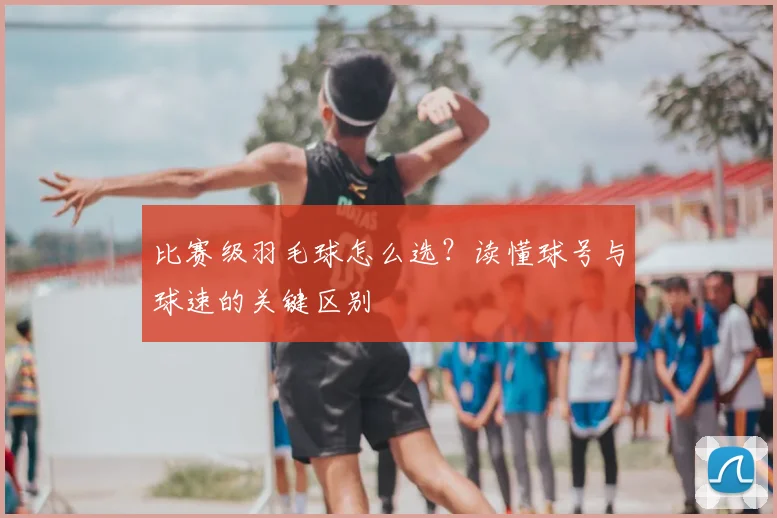 比赛级羽毛球怎么选？读懂球号与球速的关键区别
