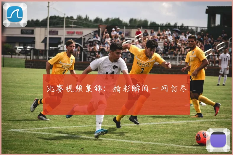 比赛视频集锦：精彩瞬间一网打尽