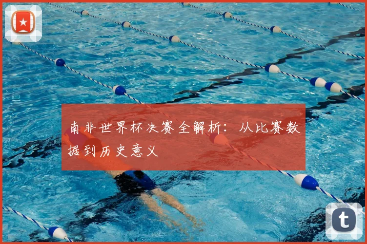 南非世界杯决赛全解析：从比赛数据到历史意义